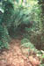 The Kalalau Trail