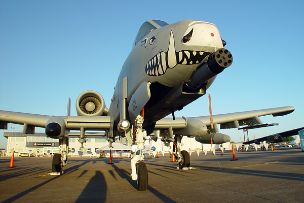 a-10-thunderbolt-1a.jpg