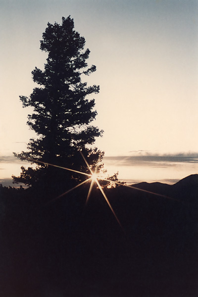 Sunrise Photo Evergreen Silhouette Estes Park Colorado Sunrise Photos