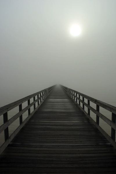  pier-trail-path-fog-